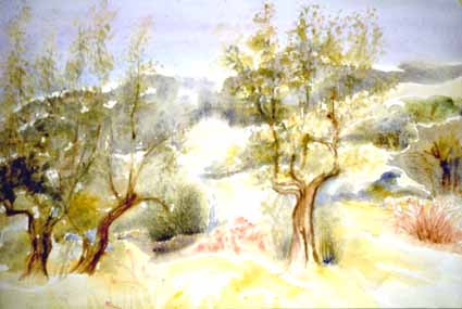 Heinz Sterzenbach - Olivenhain 1, Umbrien