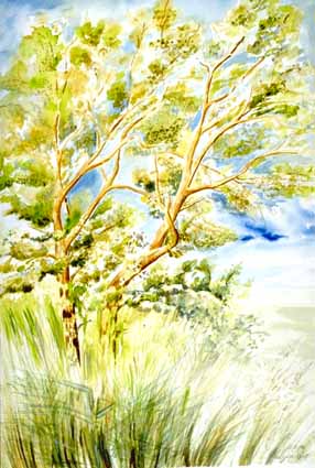 Heinz Sterzenbach - Water-oak, Virginia Beach