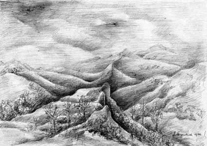 Heinz Sterzenbach - Zerfurchte Landschaft