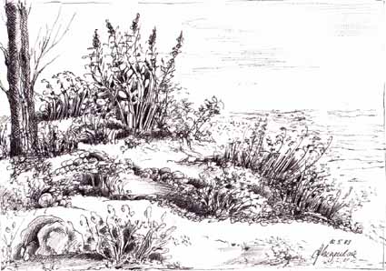 Heinz Sterzenbach - Waldrand