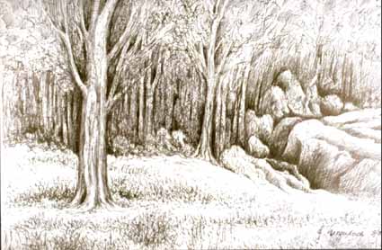Heinz Sterzenbach - Waldrand mit Felsen