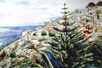 Heinz Sterzenbach - Garajau, Madeira