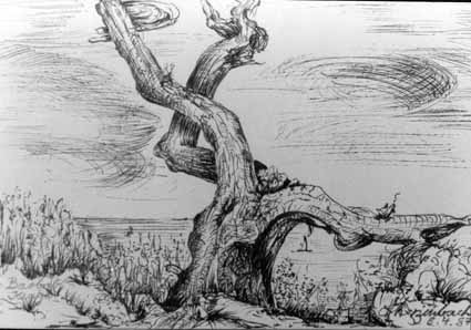 Heinz Sterzenbach - Baobab, Kenya