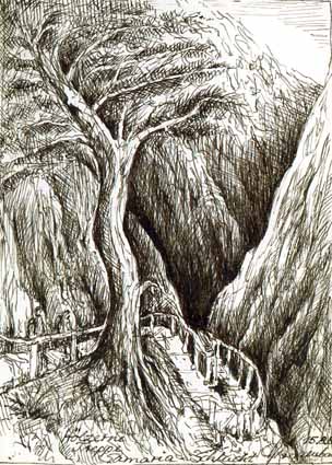 Heinz Sterzenbach - H�lzerne Treppe, Samaria Schlucht 