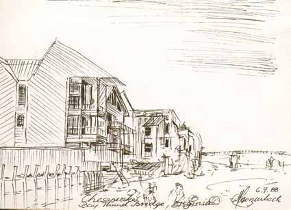 Heinz Sterzenbach - Strand von Chesapeake, Virginia