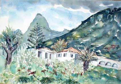 Heinz Sterzenbach - Palmeng�rten in Punta del Hidalgo 1