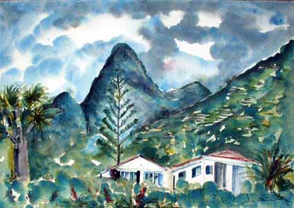 Heinz Sterzenbach - Palmeng�rten in Punta del Hidalgo 2