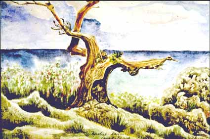 Heinz Sterzenbach - Baobab-Baum, Coral Beach
