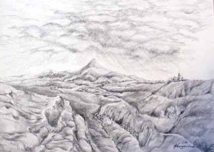 Heinz Sterzenbach - Durchfurchte Landschaft
