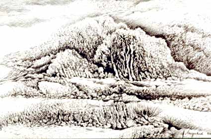 Heinz Sterzenbach - Landschaft mit Buschwerk 1