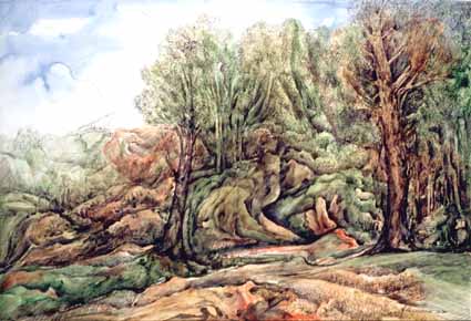 Heinz Sterzenbach - Waldlandschaft