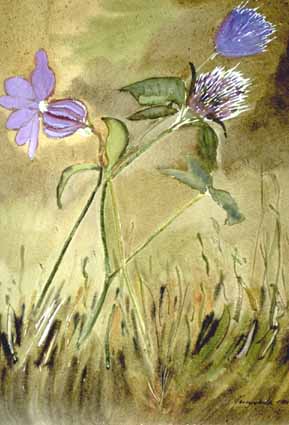 Heinz Sterzenbach - Blumen 2