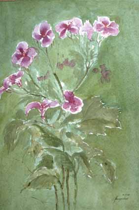 Heinz Sterzenbach - Rote Blumen