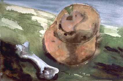 Heinz Sterzenbach - Stahlhelm mit Knochen