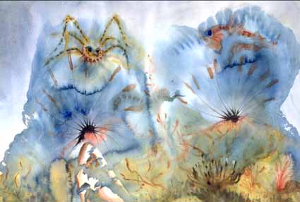 Heinz Sterzenbach - Meeresspinne